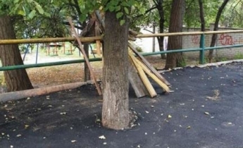 В Киеве коммунальщики отличились укладкой асфальта, замуровав дерево: фото