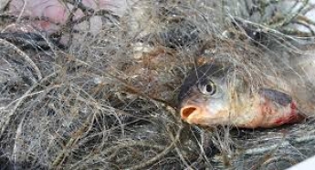 В Запорожской области браконьеры выловили почти 400 килограммов рыбы