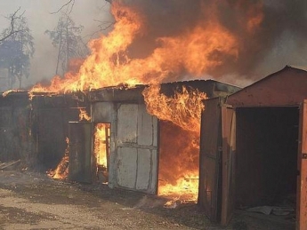 В Запорожской области тушили масштабный пожар (фото)