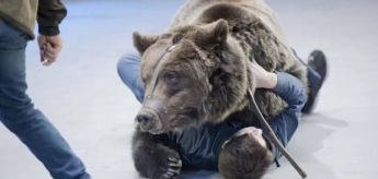 В московском цирке медведь убил рабочего