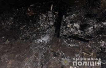 В Киевской области разбился самолет, есть погибшие