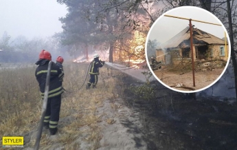 Тут жили люди: в сети показали драматические фото пожаров под Луганском