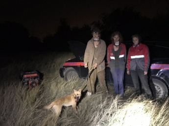В Запорожье киевляне спасли собаку, просидевшую под землей почти полгода (фото)