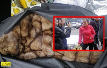 Под Киевом уволили домработницу, но она нашла способ "наказать" хозяйку (фото)