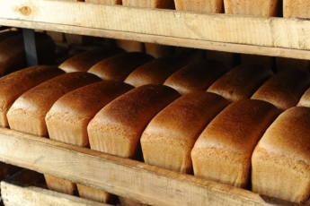 В Украине взлетят цены на хлеб, есть риск дефицита: озвучен тревожный прогноз