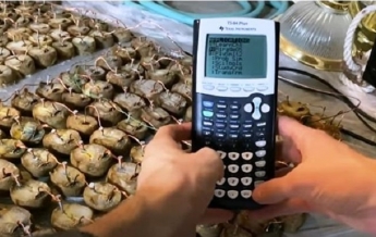 В Doom сыграли на картофельном калькуляторе (видео)