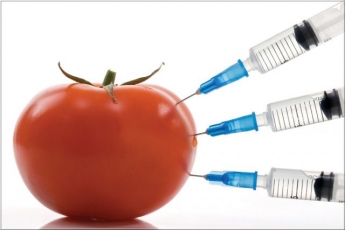 Можно ли питаться генетически модифицированными продуктами?