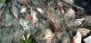 В Запорожской области поймали браконьеров с уловом