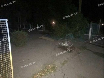 Водитель под Мелитополем сбил забор и влетел на школьный двор (фото)
