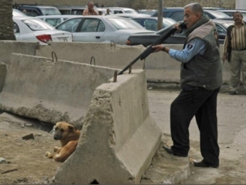 В Запорожье жестоко убили 15 собак (фото)
