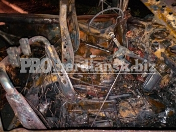 В Запорожской области жуткое ДТП: водитель заживо сгорел в автомобиле (фото)