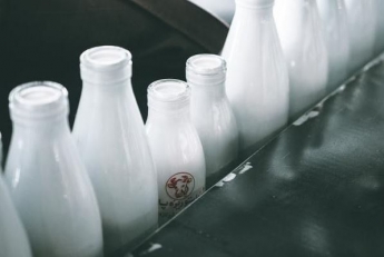6 міфів про молочні продукти, у які Вам варто припинити вірити