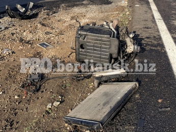 На запорожской трассе иномарка таранила грузовик (фото)