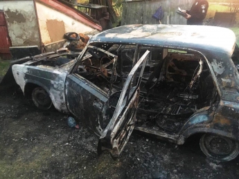 В Запорожской области сгорел автомобиль (фото)