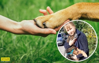 Киевлянка нашла своего пса через 11 лет: невероятная история преданности (видео)