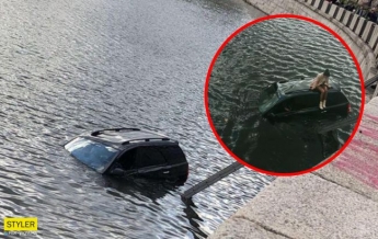 Один вопрос: как? В Харькове иномарка загадочно попала в реку (видео, фото)