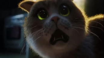 Выпустили первый фильм ужасов для котов: главный антигерой - огурец (видео)