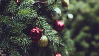 В Запорожье в торговых центрах уже устанавливают новогодние елки