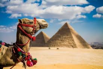 Как правильно торговаться на базарах Египта – полезные советы для туристов от жительницы Мелитополя