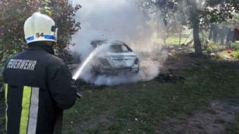 Под Днепром дотла сгорела иномарка: фото