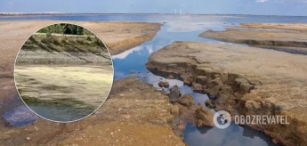 Ученые спрогнозировали полное исчезновение озер в Крыму и назвали сроки (Фото и видео)