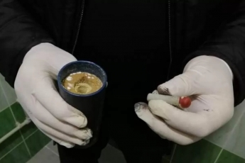 В туалете одесского избиркома обнаружили дымовую шашку (видео)