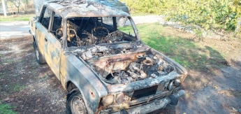 В Запорожской области сгорел гараж с автомобилем (фото)