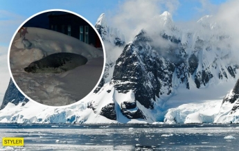К украинским полярникам в Антарктиде зашел на огонек 