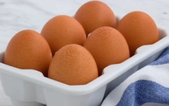 Эксперт рассказал, чем отличаются яйца с белой и коричневой скорлупой