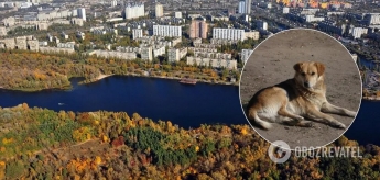 В Киеве неизвестные зарезали собак 
