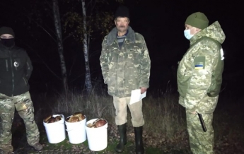 Пограничники изъяли 40 кг чернобыльских грибов