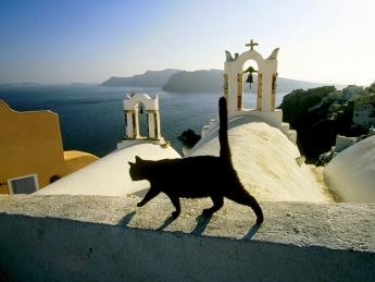 Как в Греции сглаз лечат, и какой срок светит за кражу кота – рассказ мелитопольца