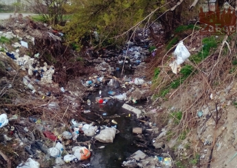 В Запорожье в реке, из-за обилия мусора, гибнут перелетные птицы (видео)