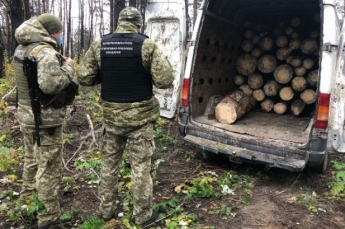 Пограничники задержали гражданина РФ за незаконную вырубку леса