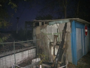 В Запорожской области сгорела дача (фото)