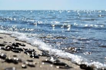 Что вы знаете об Азовском море - семь удивительных фактов (видео)
