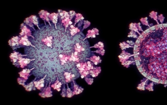 Ученые создали самую точную 3D-модель коронавируса (видео)