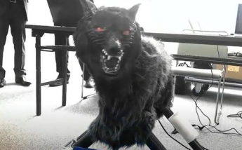 В Японии роботы-волки отпугивают хищников (видео)