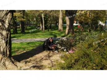Житель Мелитополя средь бела дня обнес клумбу (фото)