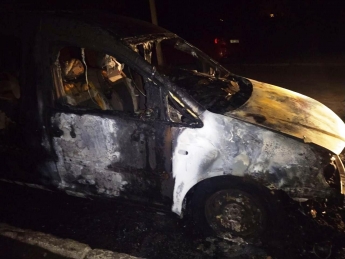 В Запорожской области сгорел автомобиль (фото)