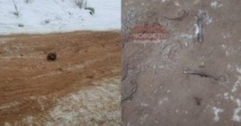 Дорогу в РФ посыпали песком с человеческими костями
