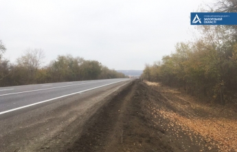 Зачем удаляют заросли кустов вдоль главной трассы Запорожской области