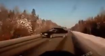 В России лось внезапно выбежал на дорогу и спровоцировал жуткое ДТП: момент попал видео