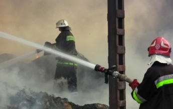 Масштабный пожар на ферме под Харьковом: десятки свиней сгорели заживо
