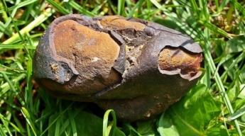 В дом парня упал огромный камень, и сделал его богатым - оказалось, это ценный метеорит (фото)