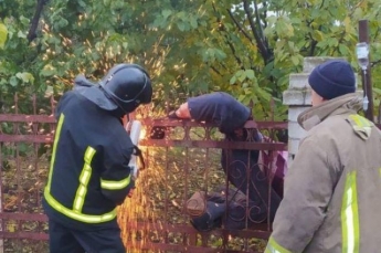 Потерял сознание: в Одесской области мужчина застрял на заборе