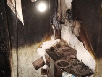 В Запорожье 8 спасателей тушили пожар в частном доме (фото)