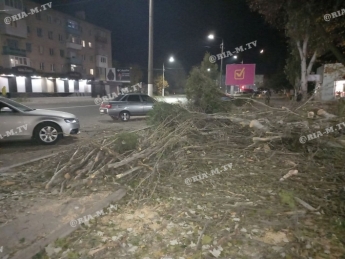 Смена закончилась - жителей Мелитополя удивила обрезка деревьев на центральном проспекте