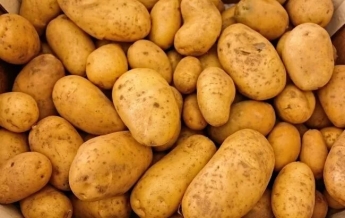 Когда картофель может стать опасным для здоровья