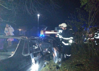 Под Запорожьем автомобиль врезался в дерево - водителя из машины вырезали спасатели (фото)